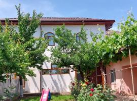 Agropensiunea Olteanu, Ferienunterkunft in Niculiţel