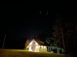 Forest House Divcibare