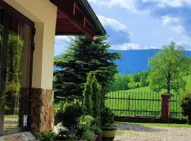 Gorski Widok Karpacz Apartamenty i Pokoje- Salon Kominkowy