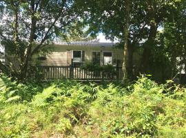 Forest View at Oakdene Forest Park - Leisure Passes Included!, hotel perto de Aeroporto de Bournemouth - BOH, 