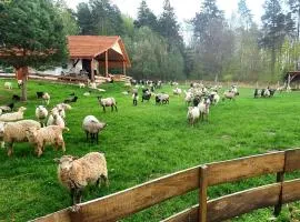 Agroturystyka Stara Huta