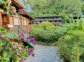 Turkmen Tree Houses, hotel di Olympos