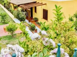 Il Veliero Blu B&B Lipari Centro