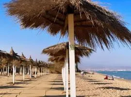 playa home