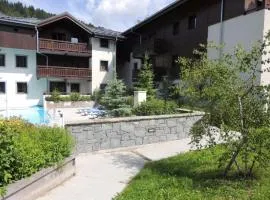 Appartement 2 pièces Résidence les Fermes Emiguy Les Gets