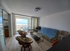 ATLANTIQUE 2 - Appartement rénové vue mer 1 chambre