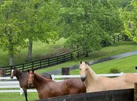 Nicura Ranch Inn & Stables