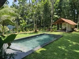 Pool Villa - The Humming Trees, Pala