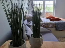 Apartamenty Hexagon nr 25