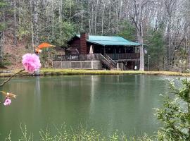 Mountain Getaway with Pond, Grill, and 2 Fire Pits!, hotel en Andrews