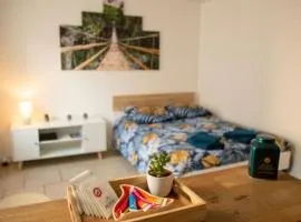 studio cosy TV WIFI confortable et chaleureux
