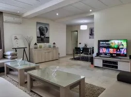Luxury Spacious Apartment Midtown Casablanca