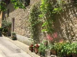 Le gite de l'impassiflore