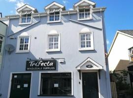 Oak House Apartment, vacation home in Ennis