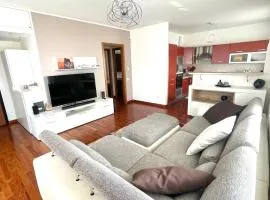 Elegant Apartment in Milan with Panoramic Terrace