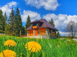 Apartmani Nišićka Oaza, chalet i Sarajevo