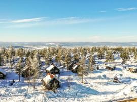 Aava Sky Village，Aavasaksa的飯店