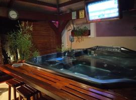 Tampa Bay beautiful apartment and private jacuzzi, hotel near HCA West Florida, Tampa