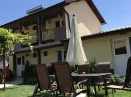 Vila Vlad