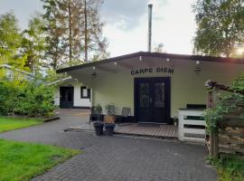 5 persoons chalet met gezellige houtkachel nabij Wildlands Emmen, hotel a Schoonebeek