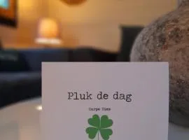 Carpe Diem, het ruime chalet met houtkachel nabij Wildlands Emmen