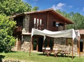 Quinta dos Carvalhos The Wine House Farm in Center of Lamego - Capital of the Douro