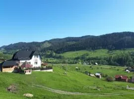 Bucovina mea
