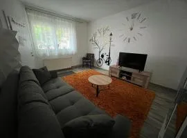Apartman Dunav - PARKING - Self check in
