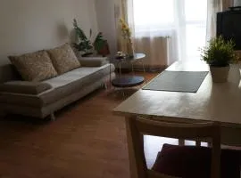 Apartament na Ratajach