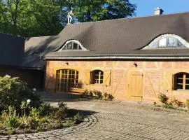 Violin house