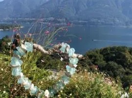 Sollevante Ascona