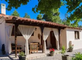 F & B Summer Collection- Skiathos -Maistrali