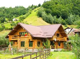 The Lodge, cabin in Moieciu de Jos