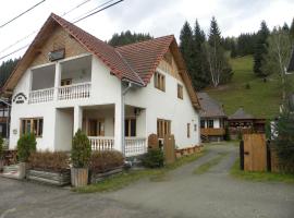 Pensiunea Irina, hotel a Botuş