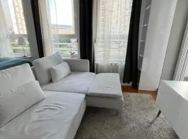 Studio Ana Belville