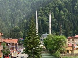 ÇAVUŞ APART, hôtel à Uzungöl