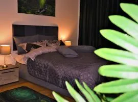 Ummagumma Studio Apartment