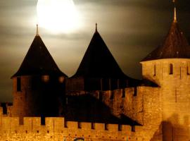 LE 139 carcassonne