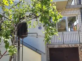 Apartman Smokva