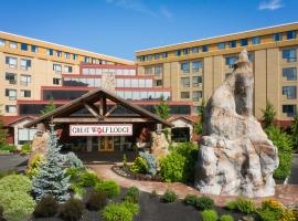 Great Wolf Lodge New England, hotel v destinaci Leominster