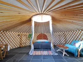 Spacious heated Yurt with Hot tub, 5 mins to beach