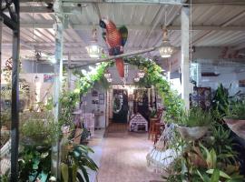 Casa Linda: Santa Marta'da bir pansiyon
