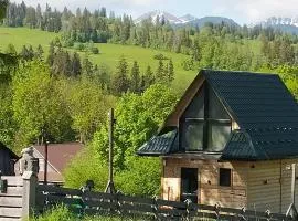 Domek w Tatrach - Osada Ostrysz