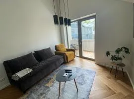 VILLA MEISSNERI TALVEAIA MAJA