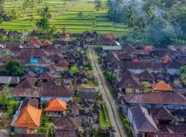 Rural Atmosphere at Bali Coconut House in Delodsema Village