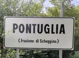 La Raccolta