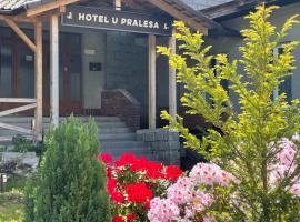 Apartmány IMLADRIS, Hotel u pralesa, hotel en Benešov nad Černou