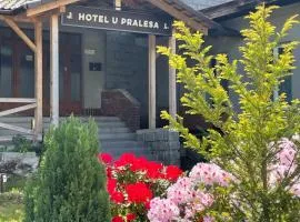 Apartmány IMLADRIS, Hotel u pralesa