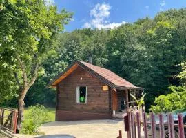 Log Cabins Jovicic