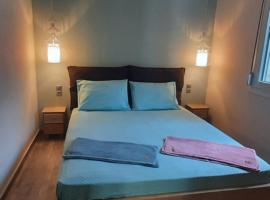 Central apartment、パティティリのホテル